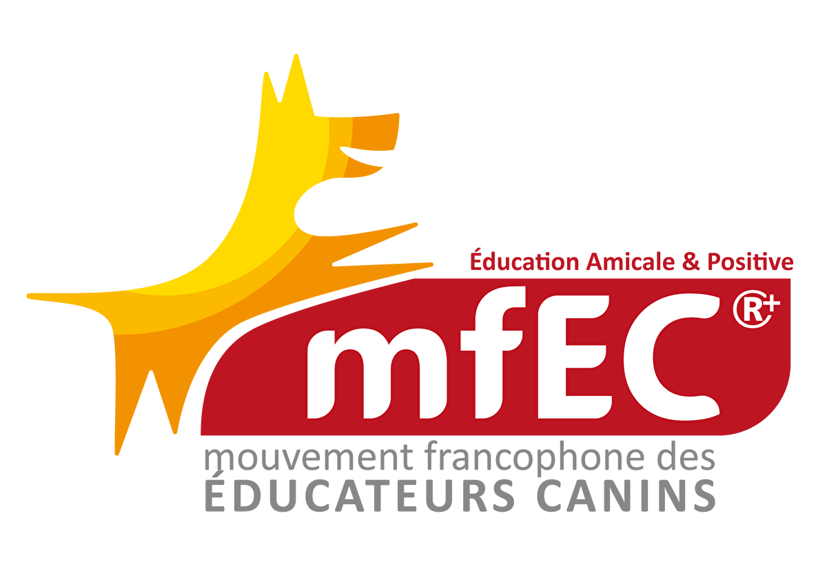 logo du MFEC