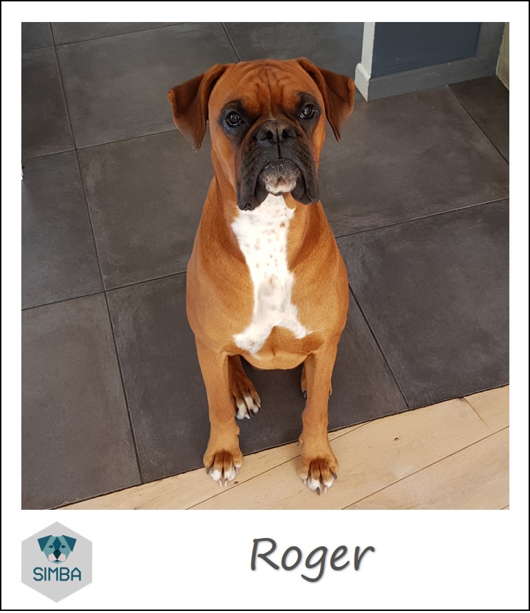Roger Boxer